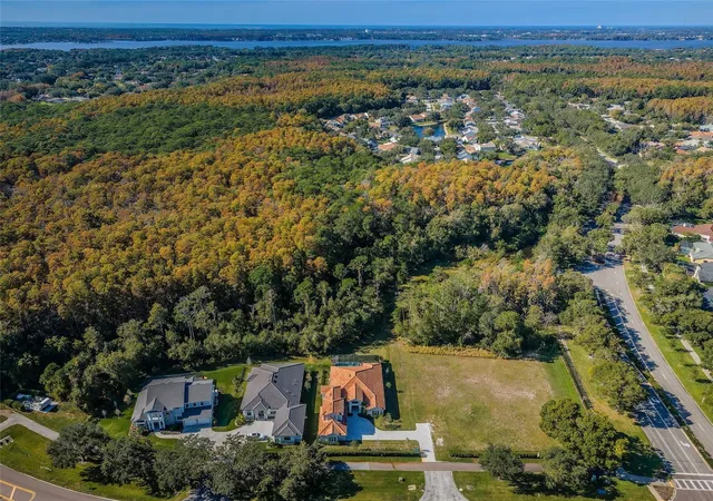 1st image of 4390 Tarpon Lake Blvd, Palm Harbor, FL 34685 | MLS# U8200843