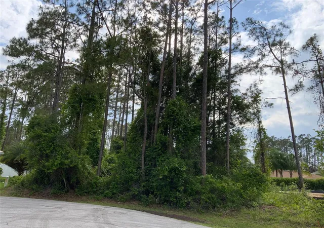 Homes for sale in Palm Coast, FL | 10 Ripton Pl, Palm Coast, FL 32164 | MLS# A4571193