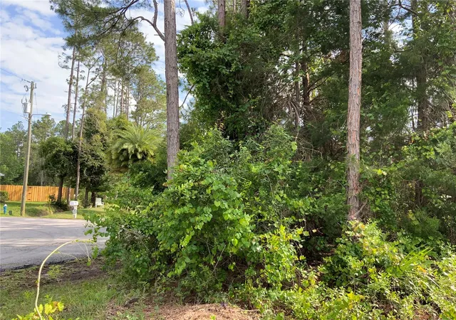 Homes for sale in Palm Coast, FL | 10 Ripton Pl, Palm Coast, FL 32164 | MLS# A4571193