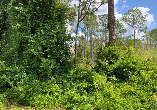 Photo 3 of Land for sale at 2690 Kingsdale Dr, Deltona, FL 32738 | MLS# A4571816 | Listing updated on 2026-06-30