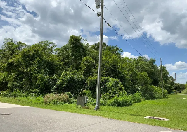 14th image of Hastings Dr, Deltona, FL 32725 | MLS# A4571860
