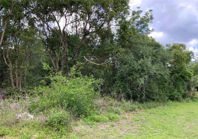 5th image of Hastings Dr, Deltona, FL 32725 | MLS# A4571860