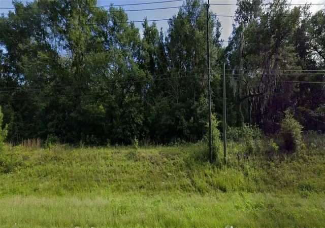 1st image of 0 W Hwy 90 Hwy, Lake City, FL 32055 | MLS# GC514370
