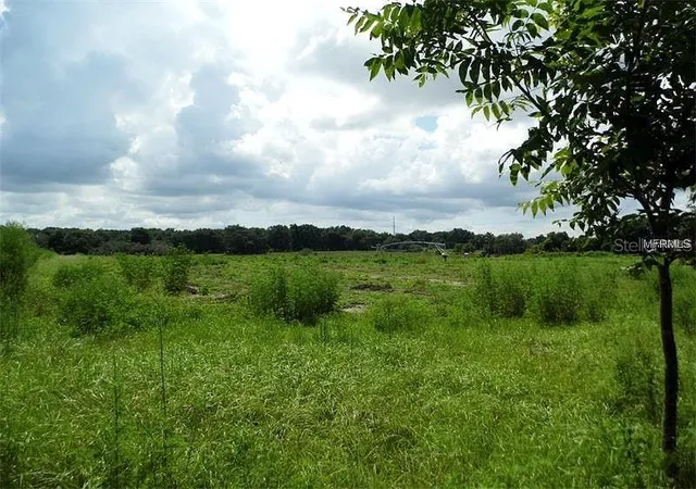 2nd image of 10201 Timmons Rd, Thonotosassa, FL 33592 | MLS# T3457837