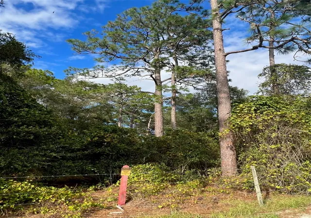 45th image of Se 74th Lane Rd #9-WEST, Ocklawaha, FL 32179 | MLS# OM662082