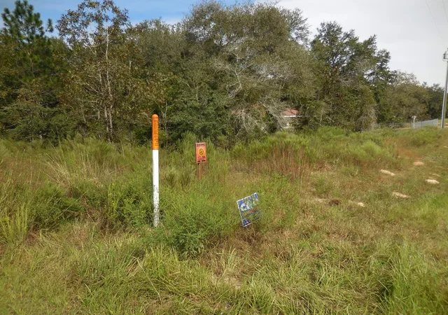 Homes for sale in Williston, FL | 6291 Ne 112th Ter, Williston, FL 32696 | MLS# OM662326