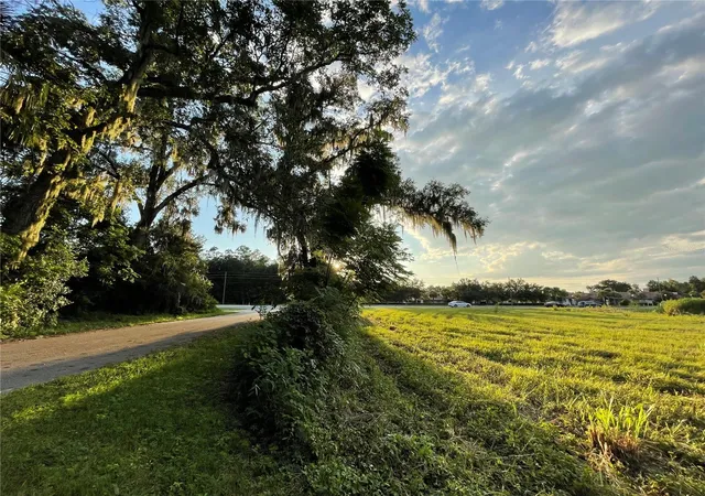 26th image of 000 Us Hwy 301 & Cr 110, Oxford, FL 34484 | MLS# G5073737