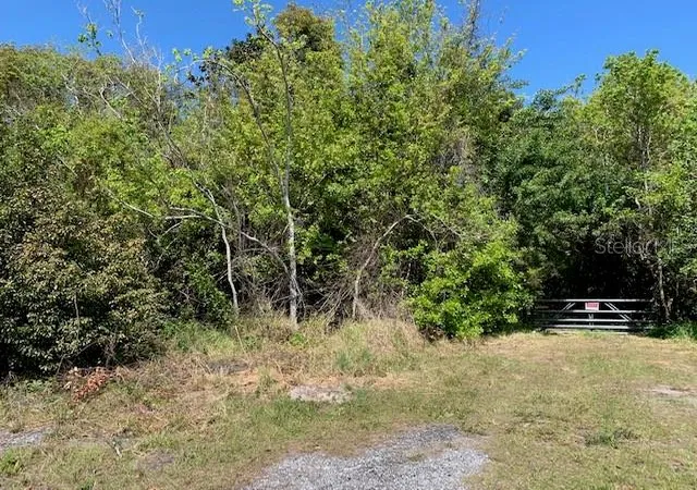 Photo 3 of Land for sale at 1290 Cinder Ln, Kissimmee, FL 34744 | MLS# S5093500 | Listing updated on 2026-04-17