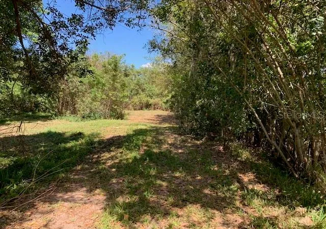 Photo 4 of Land for sale at 1290 Cinder Ln, Kissimmee, FL 34744 | MLS# S5093500 | Listing updated on 2026-04-17