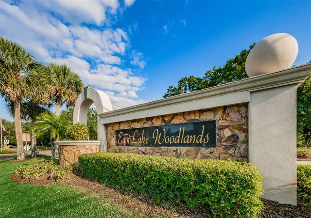 87th image of 180 Ingrid Pl, Oldsmar, FL 34677 | MLS# U8218151