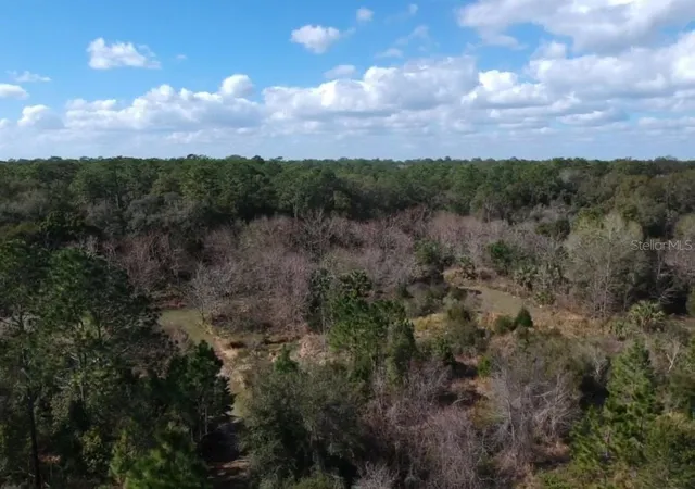 1st image of 0 Crooked Mile Rd, Paisley, FL 32767 | MLS# NS1072148