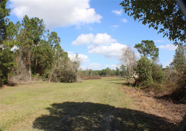 1st image of 0 Gracie Dr, Paisley, FL 32767 | MLS# NS1072153