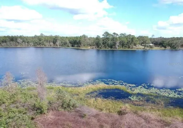 2nd image of 0 Gracie Dr, Paisley, FL 32767 | MLS# NS1072153