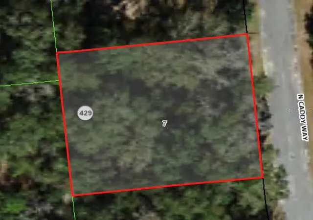 Photo 1 of Land for sale at 9020 N Caddy Way, Citrus Springs, FL 34434 | MLS# A4588236 | Listing updated on 2024-02-25