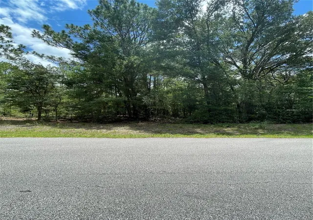 Land for sale at Tbd Sw 59Th Ln, DUNNELLON, FL 34431 | MLS# OM669315