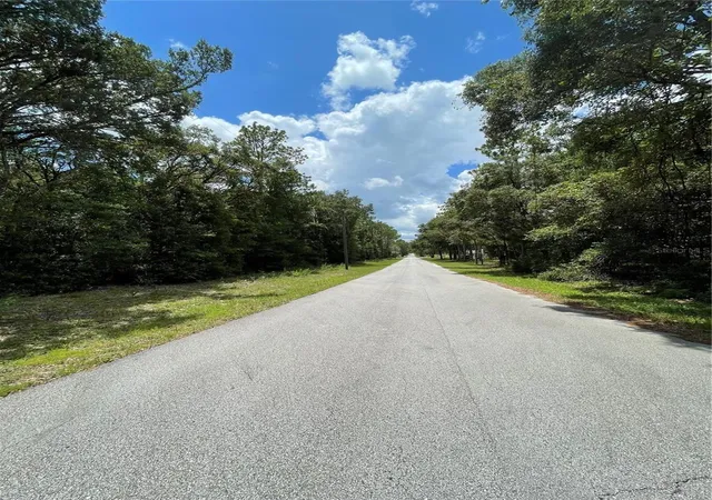 Photo 3 of Land for sale at Tbd Sw 59Th Ln, Dunnellon, FL 34431 | MLS# OM669315 | Listing updated on 2026-09-21
