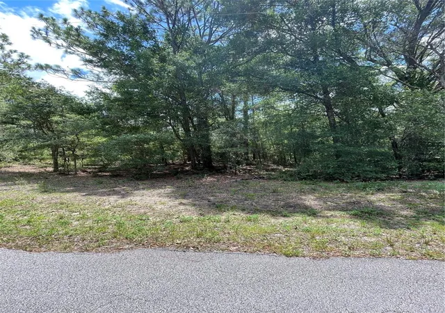 Photo 4 of Land for sale at Tbd Sw 59Th Ln, Dunnellon, FL 34431 | MLS# OM669315 | Listing updated on 2026-09-21