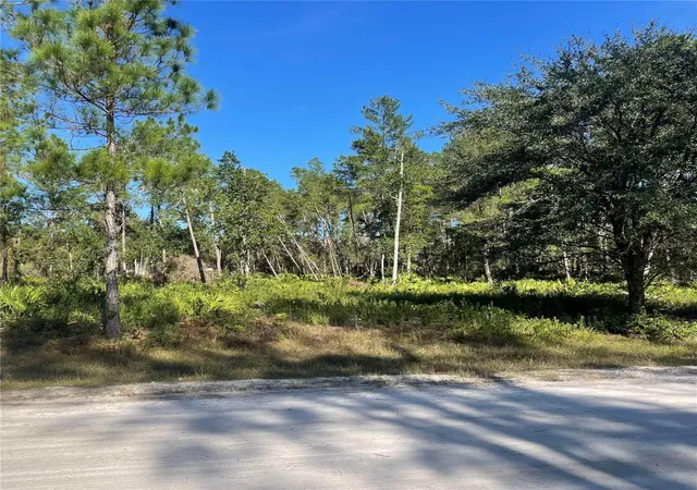 Photo 1 of Land for sale at 224 Plumosa Dr, Georgetown, FL 32139 | MLS# O6165900 | Listing updated on 2026-08-13