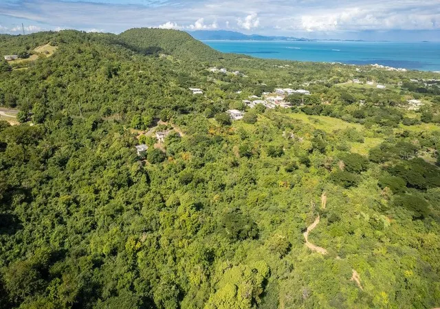Photo 2 of Land for sale at Ñ 16 Pr 201, Sector Florida, Vieques, PR 00765 | MLS# PR9103817 | Listing updated on 2025-12-22