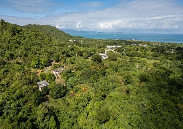Photo 3 of Land for sale at Ñ-16 Pr-201, Sector Florida, Vieques, PR 00765 | MLS# PR9103817 | Listing updated on 2025-12-22