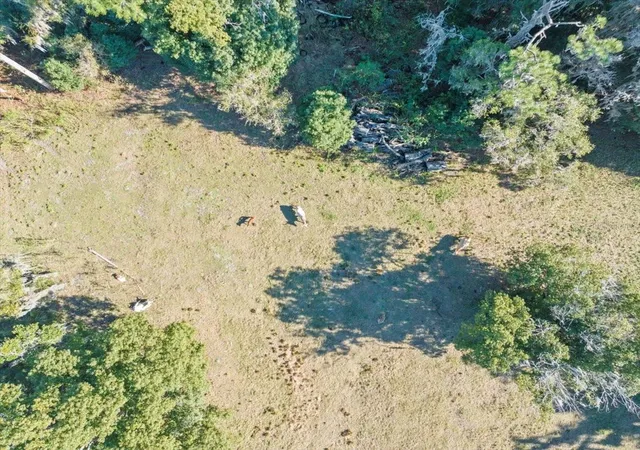 18th image of Boy Scout Rd, Odessa, FL 33556 | MLS# T3495933
