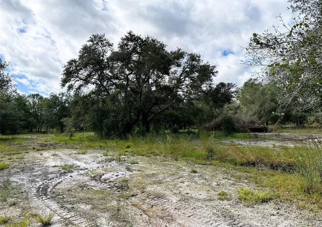 2nd image of Se Tomlin #2 Dr, Arcadia, FL 34266 | MLS# C7486072