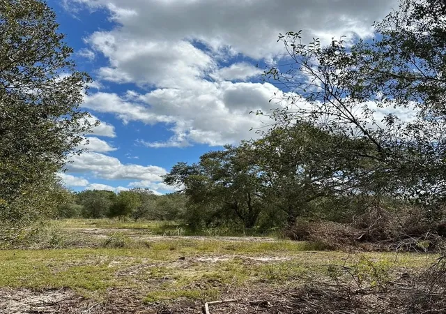 3rd image of Se Tomlin #2 Dr, Arcadia, FL 34266 | MLS# C7486072