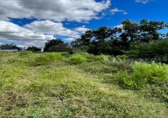 5th image of Se Tomlin #2 Dr, Arcadia, FL 34266 | MLS# C7486072