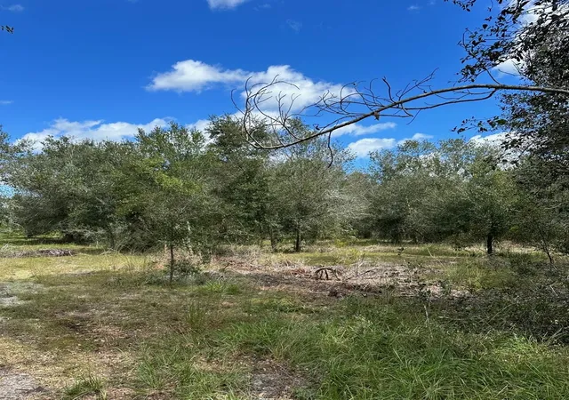 2nd image of Se Tomlin #3 Dr, Arcadia, FL 34266 | MLS# C7486075
