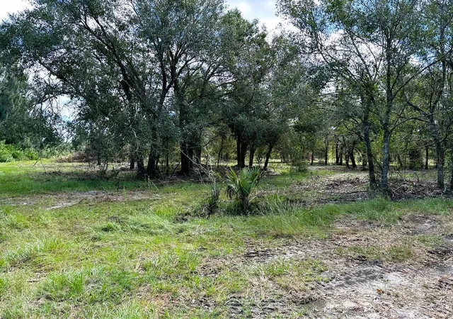 4th image of Se Tomlin #3 Dr, Arcadia, FL 34266 | MLS# C7486075