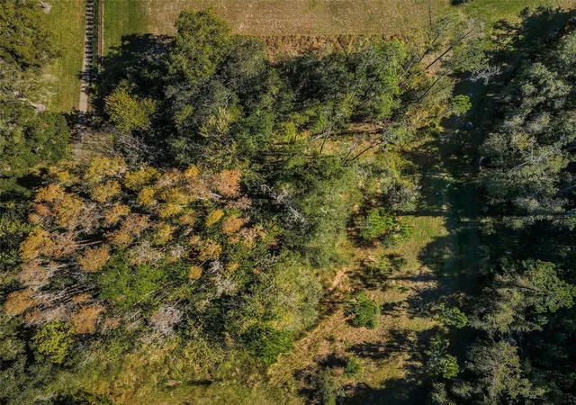 2nd image of 4445 Lansbrook Pkwy, Palm Harbor, FL 34685 | MLS# U8226327