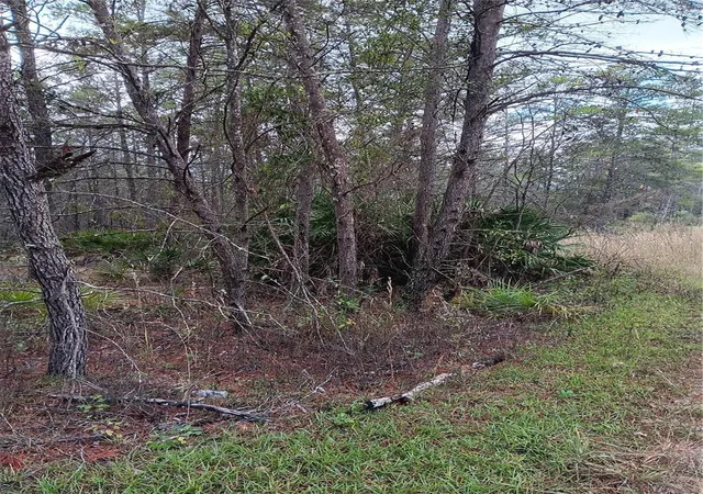 Photo 1 of Land for sale at 5144 W Osmond Ln, Dunnellon, FL 34433 | MLS# G5077196 | Listing updated on 2026-01-26