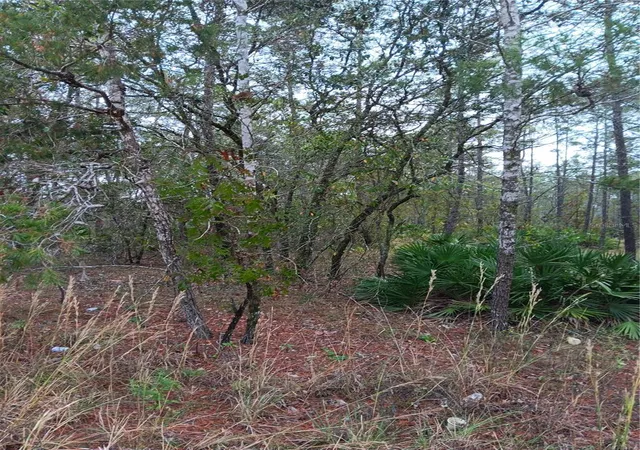 Photo 2 of Land for sale at 5144 W Osmond Ln, Dunnellon, FL 34433 | MLS# G5077196 | Listing updated on 2026-01-26