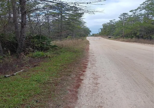 Photo 3 of Land for sale at 5144 W Osmond Ln, Dunnellon, FL 34433 | MLS# G5077196 | Listing updated on 2026-01-26
