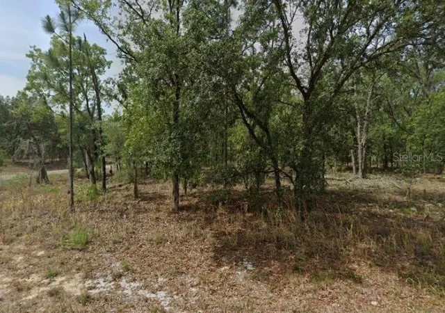 1st image of 1592 W Swanson Dr, Dunnellon, FL 34434 | MLS# A4596103