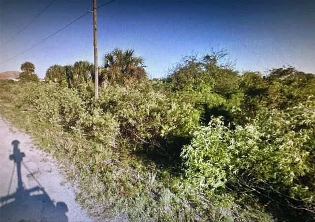 3rd image of 165 Ferguson St Sw, Palm Bay, FL 32908 | MLS# A4597220