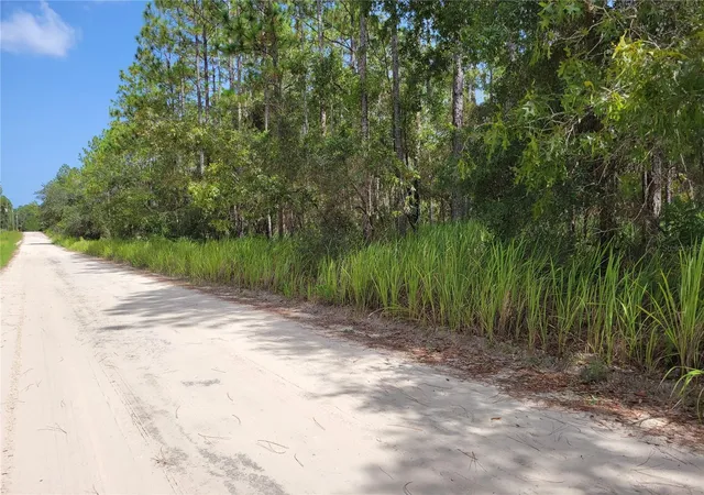Photo 2 of Sale Pending at Ne 78th Ln, Bronson, FL 32621 | MLS# O6176802 | Listing updated on 2026-07-02