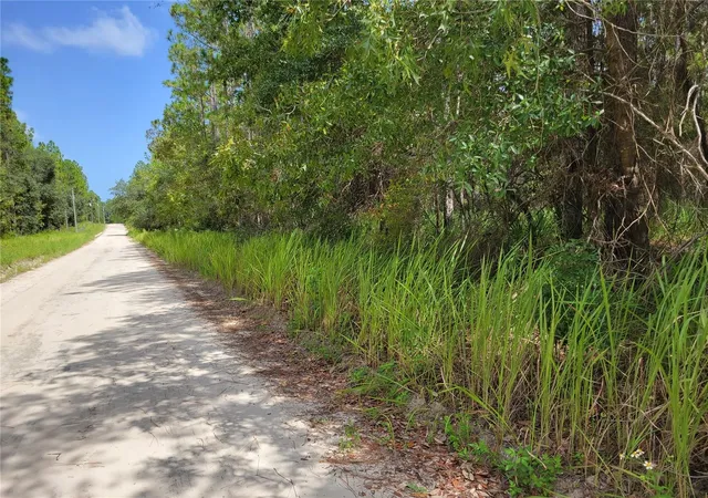 Photo 3 of Sale Pending at Ne 78th Ln, Bronson, FL 32621 | MLS# O6176802 | Listing updated on 2026-10-12