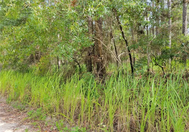 Photo 4 of Sale Pending at Ne 78th Ln, Bronson, FL 32621 | MLS# O6176802 | Listing updated on 2026-07-02