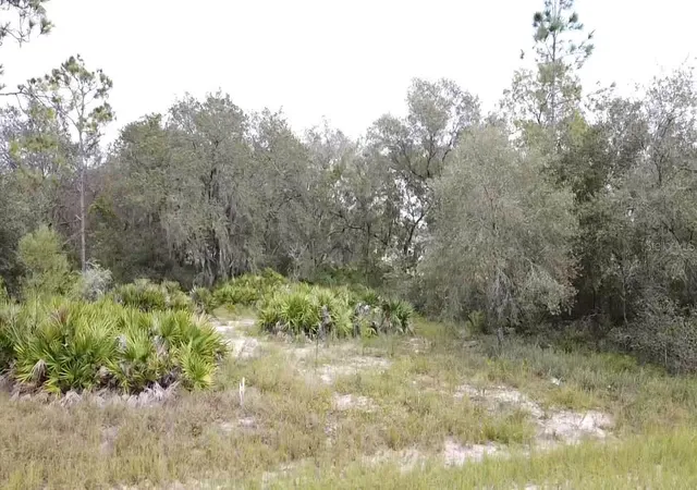 Photo 3 of Land for sale at 1405 Sarasota Ct, Kissimmee, FL 34759 | MLS# S5099191 | Listing updated on 2026-10-22