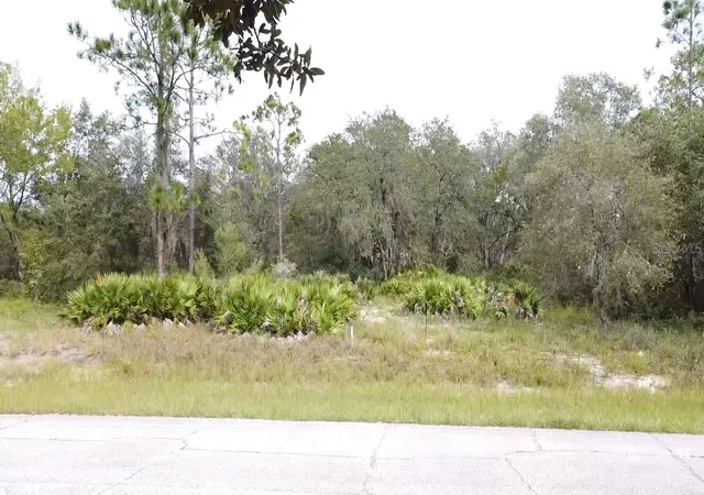 Photo 4 of Land for sale at 1405 Sarasota Ct, Kissimmee, FL 34759 | MLS# S5099191 | Listing updated on 2026-10-22