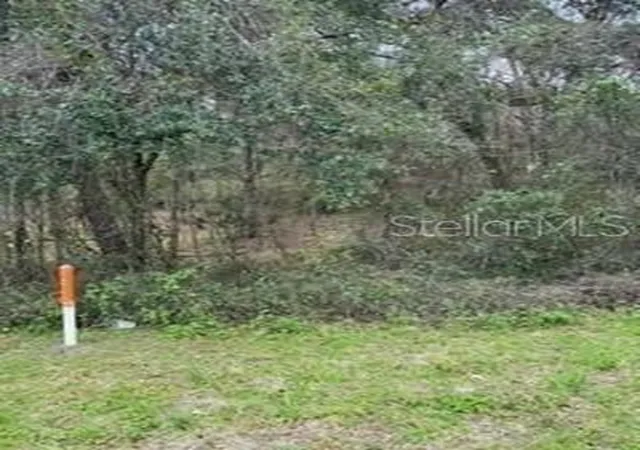 8th image of Unassigned State Road 24, Archer, FL 32618 | MLS# GC519504
