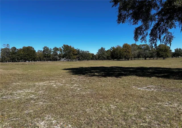 Homes for sale in Morriston, FL | 0000 Nw 464B, Morriston, FL 32668 | MLS# OM673020