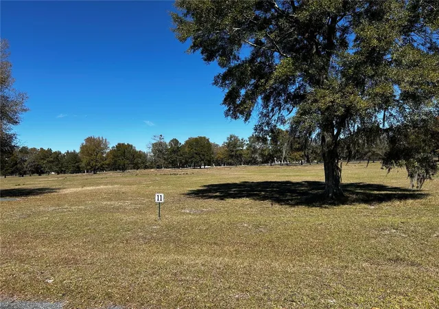 Homes for sale in Morriston, FL | 0000 Nw 464B, Morriston, FL 32668 | MLS# OM673020