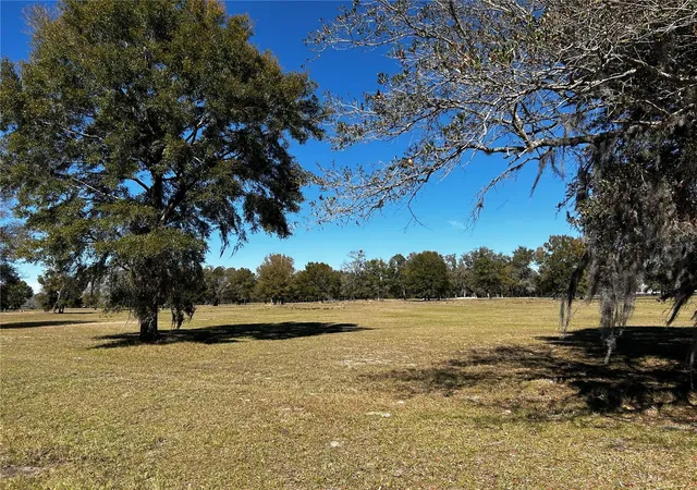 Homes for sale in Morriston, FL | 0000 Nw 464B, Morriston, FL 32668 | MLS# OM673020