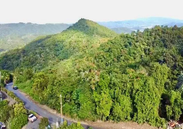 Homes for sale in Aguas Buenas, PR | Road 785 KmHm 4 Barrio Caguitas, Aguas Buenas, PR 00703 | MLS# PR9104722
