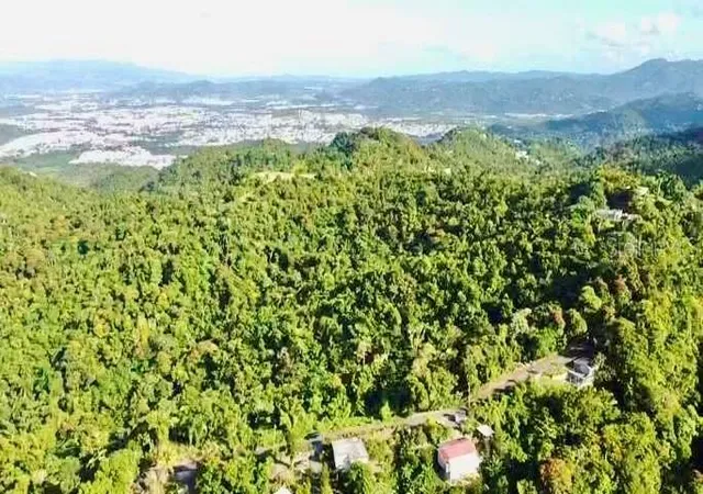 Homes for sale in Aguas Buenas, PR | Road 785 KmHm 4 Barrio Caguitas, Aguas Buenas, PR 00703 | MLS# PR9104722