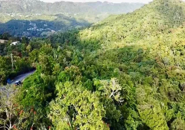 Homes for sale in Aguas Buenas, PR | Road 785 KmHm 4 Barrio Caguitas, Aguas Buenas, PR 00703 | MLS# PR9104722