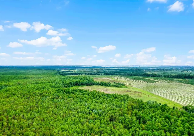 Photo 2 of Land for sale at S Boggy Marsh Rd, Clermont, FL 34711 | MLS# G5078907 | Listing updated on 2026-09-06