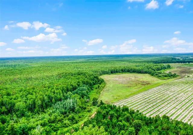 Photo 3 of Land for sale at S Boggy Marsh Rd, Clermont, FL 34711 | MLS# G5078907 | Listing updated on 2026-09-06